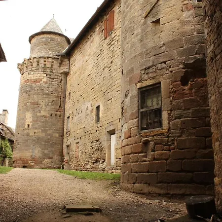 Chateau Ricard * Saint-Geniez-dʼOlt